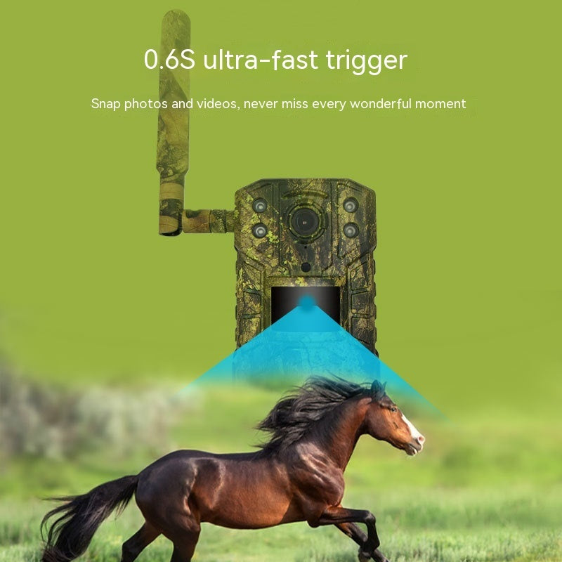 c23e2575a9819946d4144e449490208e