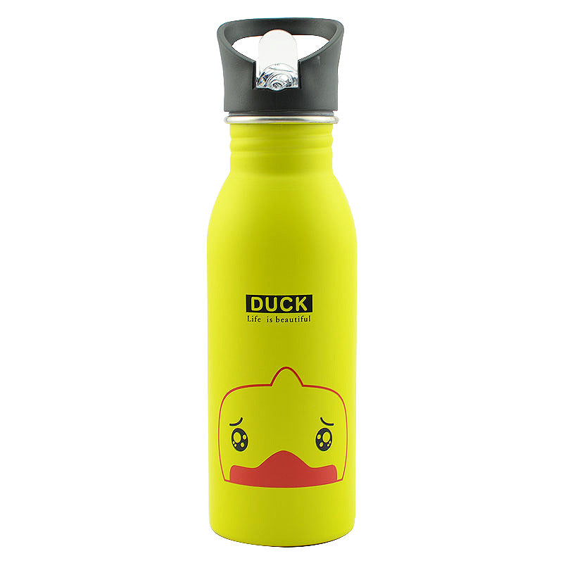 Stainless steel sports bottle