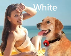 Pet Supplies