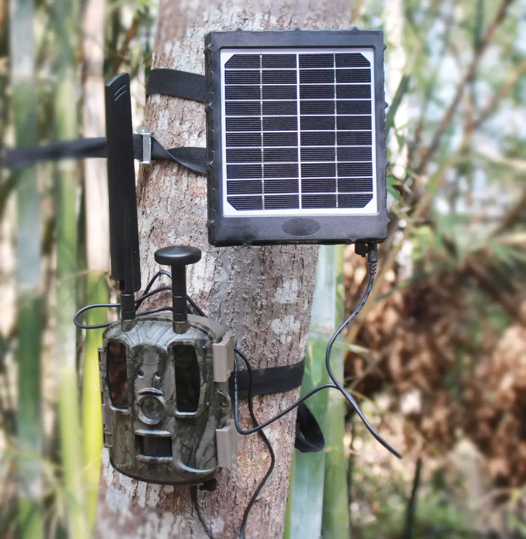 Trail Camera Solar Panel 8000mah 3 Watt Hunting Camera 12v/9v/6v Output Built-In Lithium Battery IP66 Waterproof for Outdoor Cam