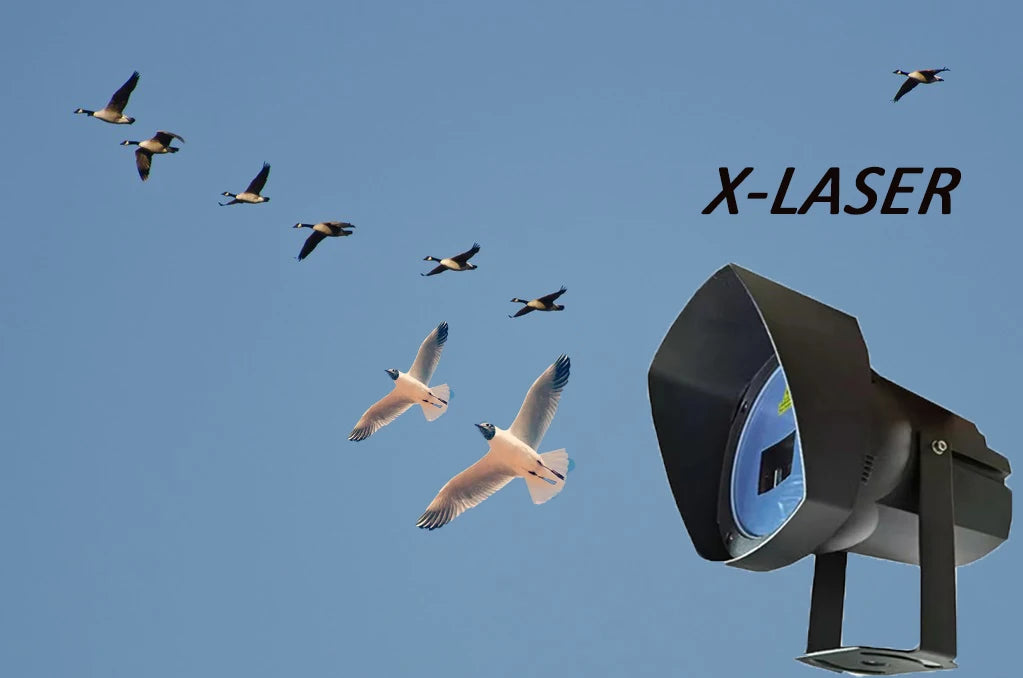 China Manufacturer's Outdoor Waterproof Laser Bird Repellent Eco-Friendly Pigeon Control Product for Pest Deterrence