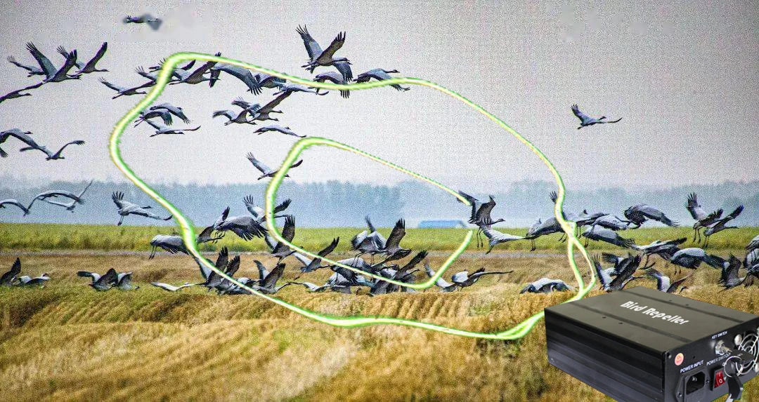 2025 Classic Indoor Bird Laser Light Harmless Bird Repellent Device With RF Control for Farm Warehouse Keep Birds Pigeon Away