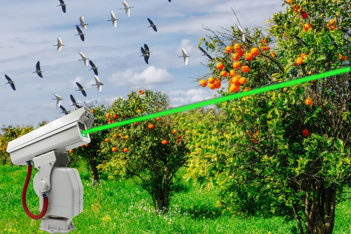 Ptz Long Range Day Night Vision Cctv Ptz Camera for Security Camera System Laser Bird Repellent