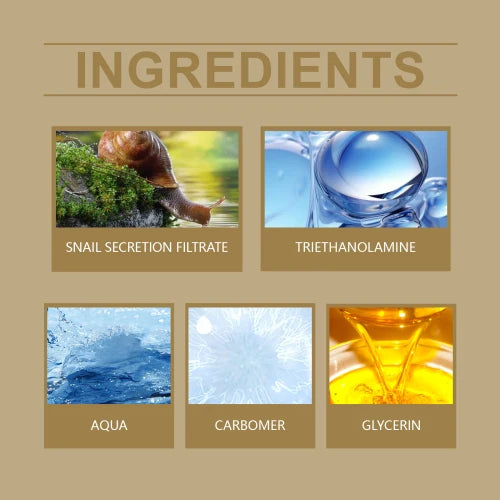 Hoygi Snail Firming Skin Care Essence Nourishes The Face And Rejuvenates The Skin's Natural Elasticity Snail Essence