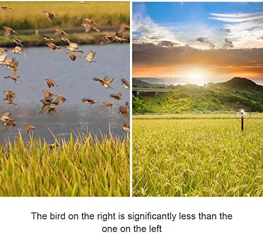 China Manufacturer's Outdoor Waterproof Laser Bird Repellent Eco-Friendly Pigeon Control Product for Pest Deterrence