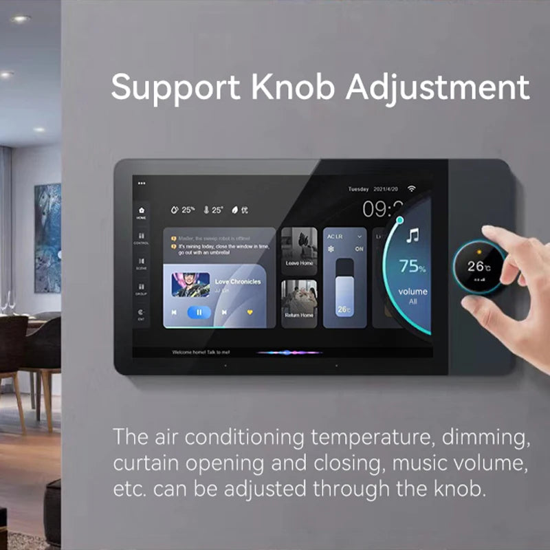 2025 New Arriving WiFi 6 Inch Smart Home Automation Background Music Amplifier LCD Smart Home Gateway