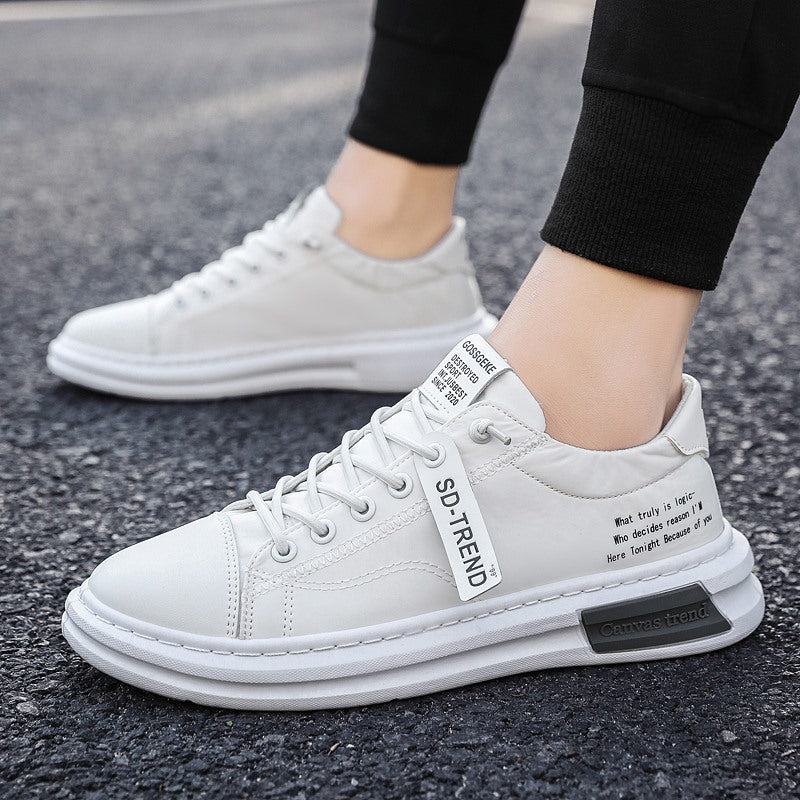 Breathable Ice Silk Cloth Shoes Thin Style Trendy Canvas Men's Shoes